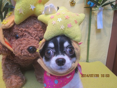 ファイル 7851-1.jpg