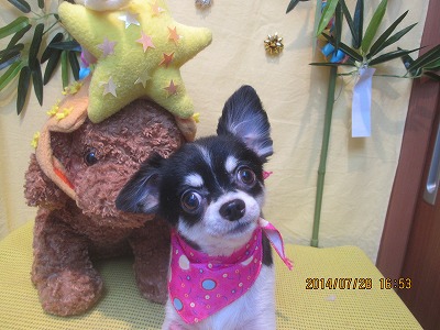 ファイル 7851-2.jpg