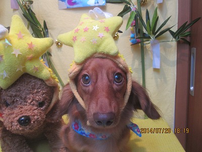 ファイル 7852-1.jpg