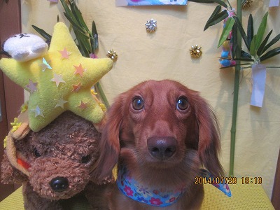 ファイル 7852-2.jpg