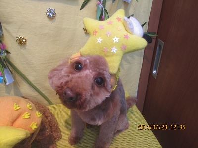 ファイル 7853-1.jpg