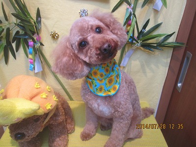 ファイル 7853-2.jpg