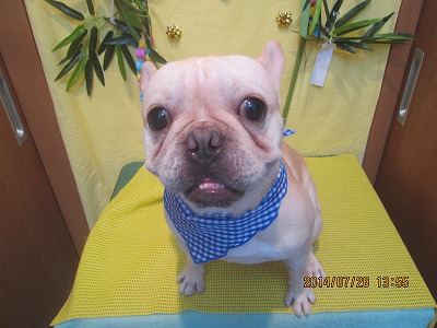 ファイル 7854-1.jpg