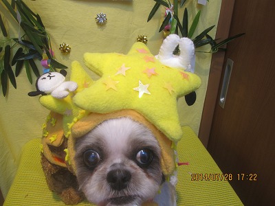 ファイル 7855-1.jpg