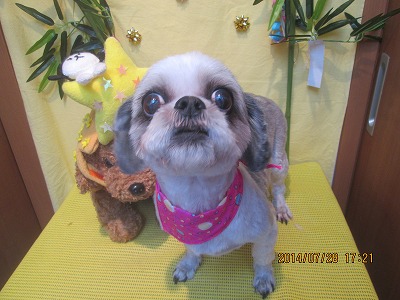 ファイル 7855-2.jpg