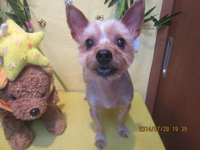 ファイル 7856-1.jpg