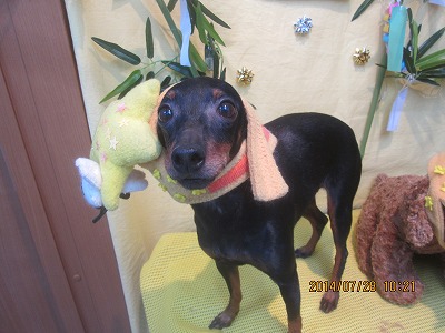 ファイル 7857-1.jpg