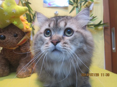 ファイル 7858-1.jpg