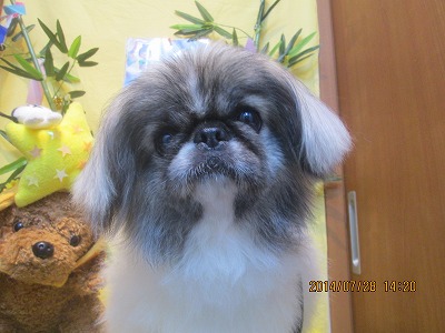 ファイル 7859-1.jpg