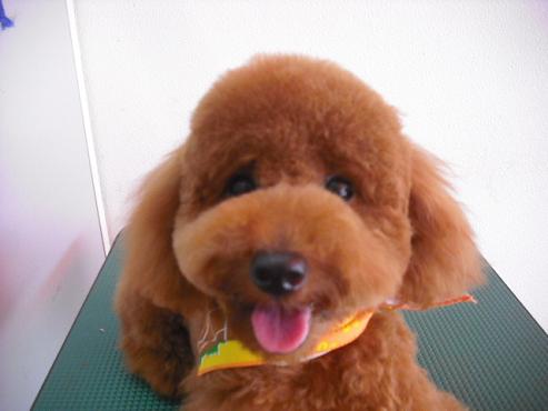 ファイル 786-1.jpg