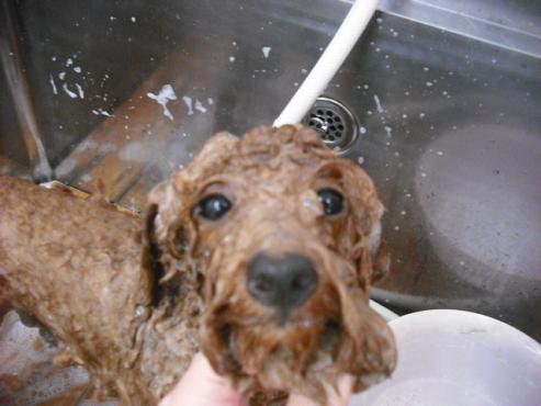 ファイル 786-2.jpg