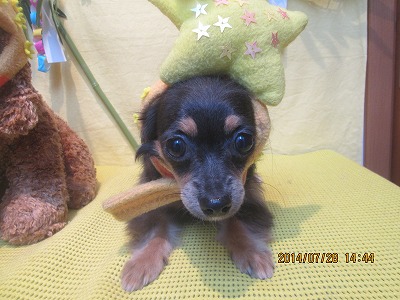 ファイル 7860-1.jpg