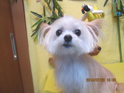 ファイル 7861-1.jpg