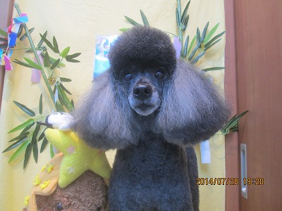 ファイル 7862-1.jpg