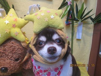 ファイル 7863-1.jpg