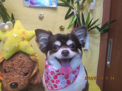 ファイル 7863-2.jpg