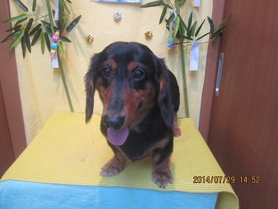 ファイル 7864-1.jpg