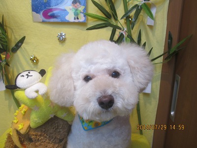 ファイル 7865-1.jpg