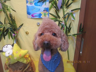 ファイル 7866-1.jpg