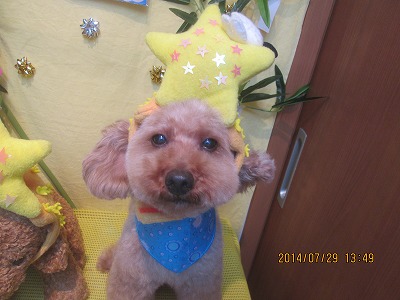 ファイル 7867-1.jpg