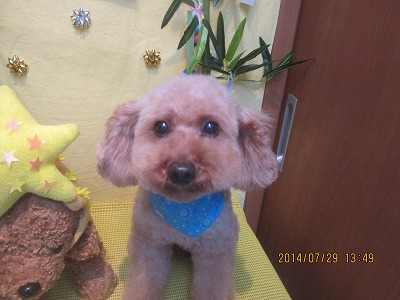 ファイル 7867-2.jpg