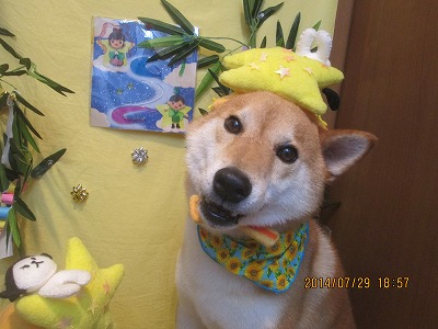 ファイル 7868-1.jpg