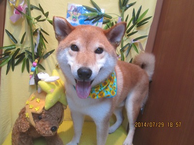 ファイル 7868-2.jpg