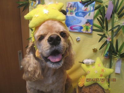 ファイル 7869-1.jpg