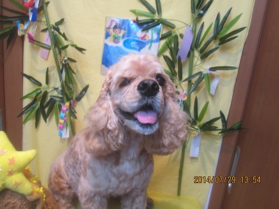 ファイル 7869-2.jpg