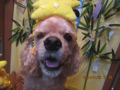 ファイル 7869-3.jpg