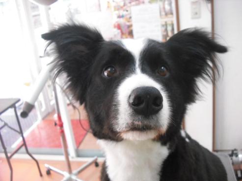 ファイル 787-1.jpg