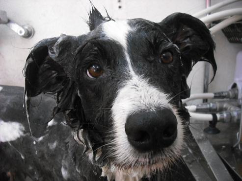 ファイル 787-2.jpg