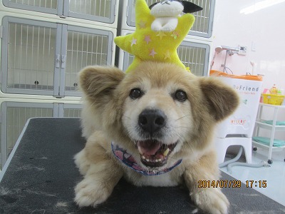 ファイル 7870-1.jpg