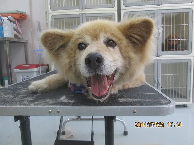 ファイル 7870-2.jpg