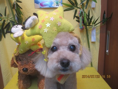 ファイル 7871-1.jpg