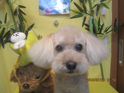 ファイル 7871-2.jpg