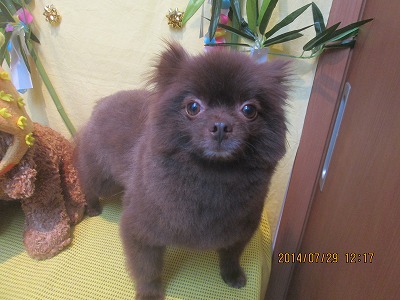 ファイル 7872-1.jpg