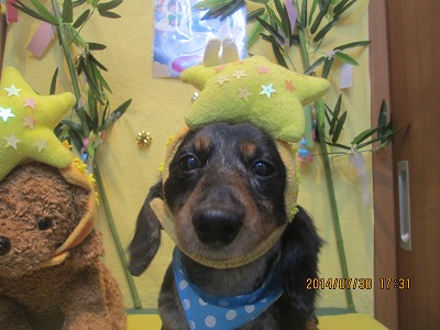 ファイル 7873-1.jpg