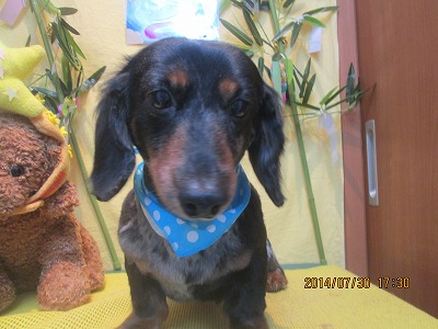 ファイル 7873-2.jpg