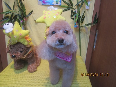 ファイル 7874-1.jpg