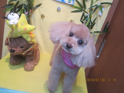 ファイル 7874-2.jpg