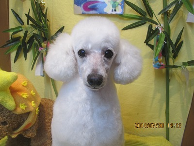 ファイル 7875-2.jpg