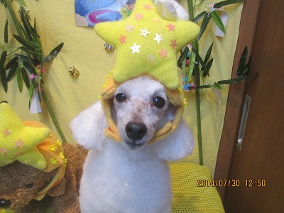 ファイル 7876-1.jpg