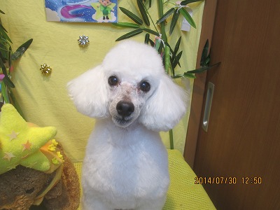 ファイル 7876-2.jpg