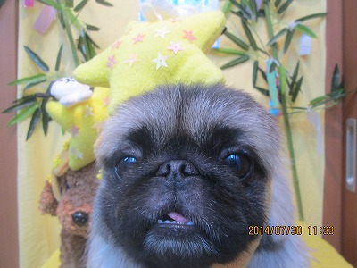 ファイル 7877-1.jpg