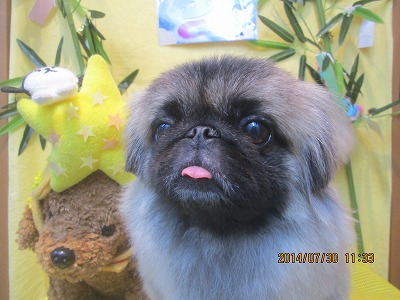 ファイル 7877-2.jpg