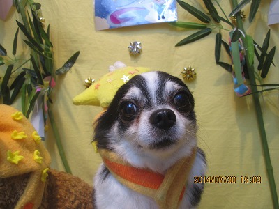 ファイル 7878-1.jpg