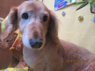 ファイル 7879-1.jpg