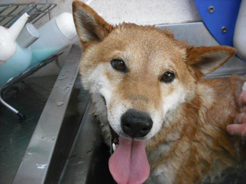 ファイル 788-2.jpg