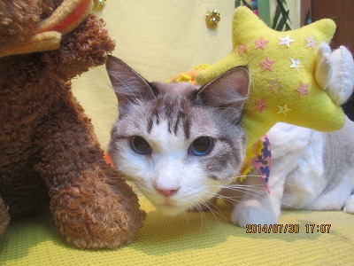 ファイル 7880-2.jpg